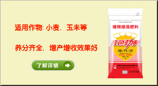 樱桃视频大全免费樱桃视频黄色片缓释专用肥