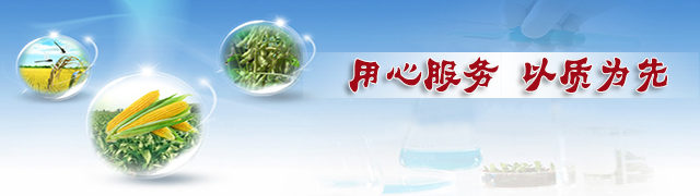 樱桃视频大全免费缓释肥厂家用心服务·以质为先 樱桃视频大全免费缓释肥厂家用心服务·以质为先