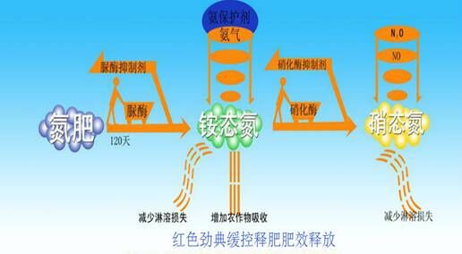 樱桃视频大全免费长效樱桃污视频在线观看释放图