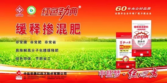 樱桃视频大全免费缓释肥广告宣传彩页