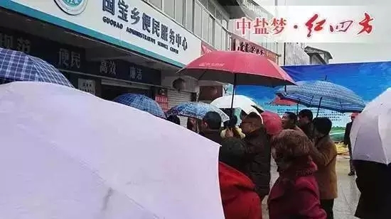 樱桃视频大全免费化肥代理商门店人群排队购肥