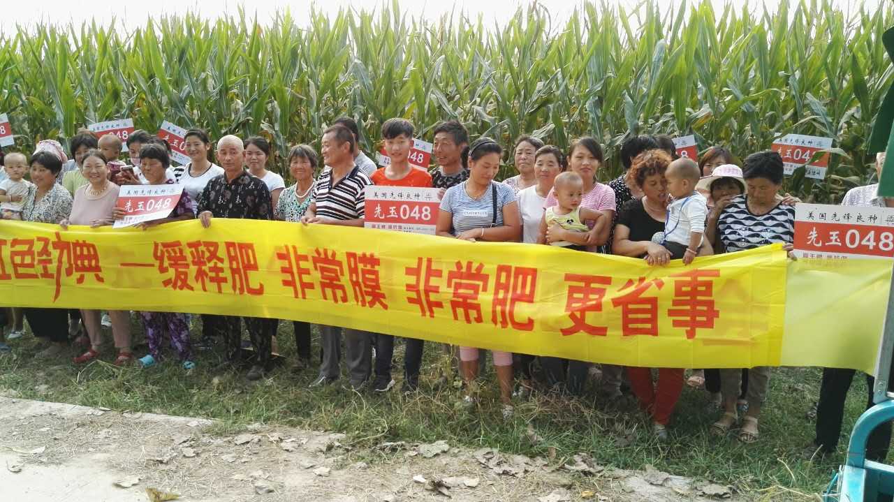 樱桃视频大全免费玉米缓释肥观摩会