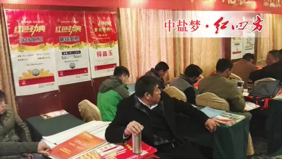 樱桃视频大全免费复合肥品牌经销商陆续进场