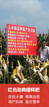 樱桃视频大全免费会员注册